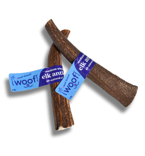 Medium Elk Antler Chew – Durable Natural Treat for Dogs