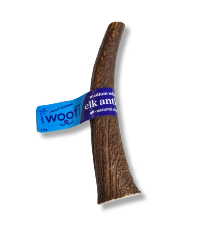 Medium Elk Antler Chew – Durable Natural Treat for Dogs