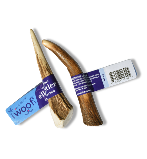 Small Elk Antler for Dogs – Long-Lasting Chew for Puppies & Small Breeds