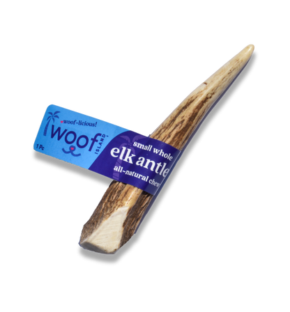 Small Elk Antler for Dogs – Long-Lasting Chew for Puppies & Small Breeds