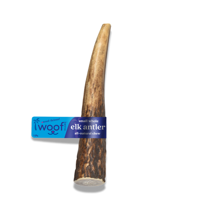 Small Elk Antler for Dogs – Long-Lasting Chew for Puppies & Small Breeds